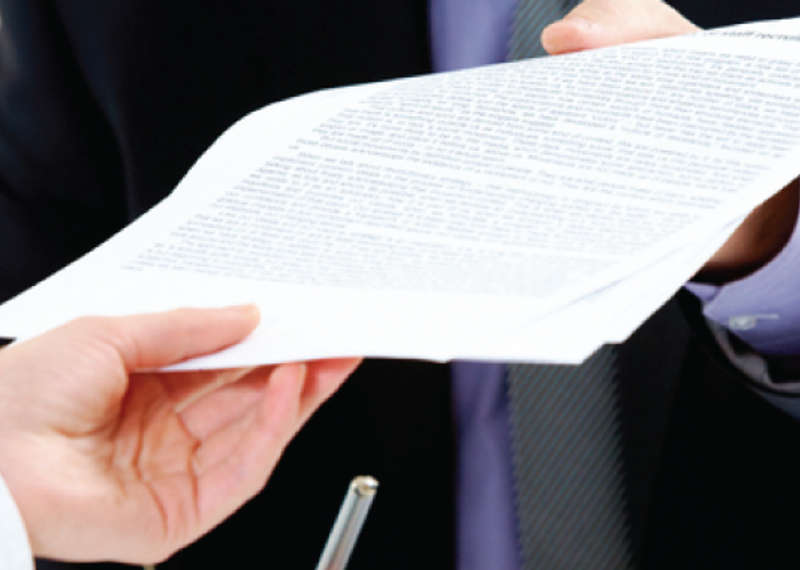 litigation support